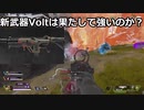 【ANPA】新SMG【Volt】がめっちゃ速かった＃13