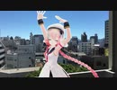 第二世界の旅日記 076【デミオで目指す大樽の滝】
