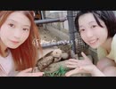 【るな＆ひ３か】45秒で何ができる？【踊ってみた】