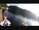 ライトソルトゲームするよ。