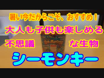 一度はやってみたかった「シーモンキー」育成を撮影してみた