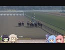 【VOICEROID実況】コトノハウイポ！パート１５【ウイニングポスト9　2020】