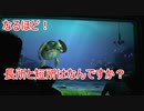 【なるほど！】長所と短所はなんですか？ 【タートルトーク】東京ディズニーシー