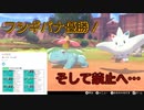 【剣盾ダブルpart64】皆さんに良い知らせと悪い知らせがあります