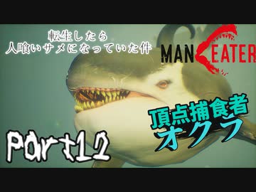 【実況】転生したら人喰いサメになっていた件【MANEATER】part12