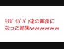 【2ch】ｷﾁｶﾞｲﾊﾞﾊﾞｧ達の餌食になった結果ｗｗｗｗｗｗｗｗ
