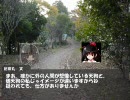 そっくり兎の幻想入り　番外編　兎探して幻想入り２
