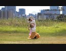 【あにまおオリジナル曲】1分【踊ってみた】