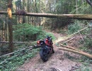 初めての林道は、Ninjaだった