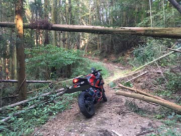 初めての林道は、Ninjaだった