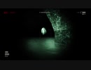 【悲鳴をあげたら即退場】名作 OUTLAST part7【実況】