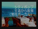 シティポップ散策（男性ボーカル）MIX ●japanese city pop AOR main street to promenade male vocalists