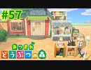 【あつまれどうぶつの森】#57 - 商店街に古本市場を作りました♪【女性実況】【どうぶつの森】【あつ森】