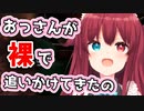 夢月ロアちゃんが裸の不審者に追いかけられた時の話