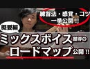 【ミックスボイス習得のロードマップ：概要編】練習法、感覚、コツ分らない方へ！！