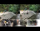 #七原くん 20200820-21「夏の野外学習！　4」米無速報版後編(キャンプ深夜定点 #ソロキャンプ #ASMR #自然音 #環境音 #作業用BGM #睡眠用BGM この後編は本格寝配信)