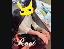 〖すとぷり〗□ԅ( ˘ω˘ ԅ)