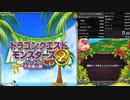 イルルカSP RTA  2:39:16（全編）