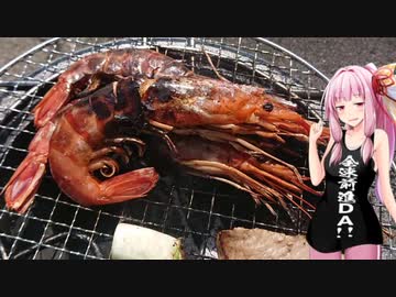 茜ちゃん七輪飲み