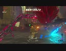 【縛り実況】生きとし生けるものを一切殺さないゼルダの伝説ブレスオブザワイルド　part9