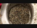スキットルズと砂利をトイレに流してみた