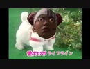 愛犬ロボ「ライフライン」