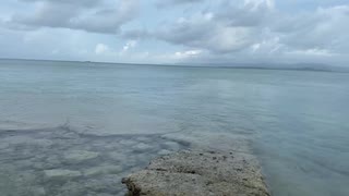 【自然】夏の朝、そして海。
