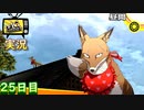【ペルソナ4ザ・ゴールデン】前掛けキツネの願い　5月5日  25日目 晴【実況】
