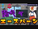 【ポケモン剣盾】ブイズの手も借りたいランクマッチ#33【陰エースバーン】