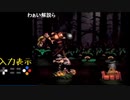 【TS録画】スーパードンキーコング2 102%RTA 実演＆解説 W4編　後半