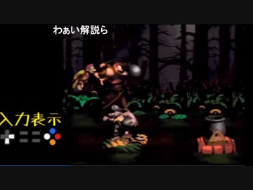 【TS録画】スーパードンキーコング2 102%RTA 実演＆解説 W4編　後半