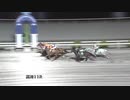 2020年8月23日高知競馬11R 令和２年７月豪雨災害被災地支援(A-2組) マイネルサリューエ