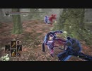 ダークソウル3　属性　侵入覚書4