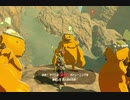 ゼルダの伝説ブレスオブザワイルド実況プレイ(DLC編)Part23