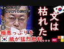 枯れてないよ。腐ってるんだよ□　【江戸川 media lab HUB】お笑い･面白い･楽しい･真面目な海外時事知的エンタメ