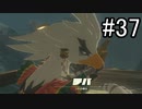 世界を冒険するべく「ゼルダの伝説 ブレスオブザワイルド」実況　part37