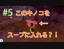 『ポケットモンスターシールド 鎧の孤島』英語版でプレイ Part5