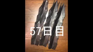 黒折り紙で千羽鶴を作っていく　57日目