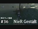 【NieR Gestalt】こんにちは狂気【part36】