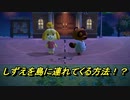 あつまれどうぶつの森　しずえを自分の島に連れてくる方法！？　【あつ森】【Animal Crossing】