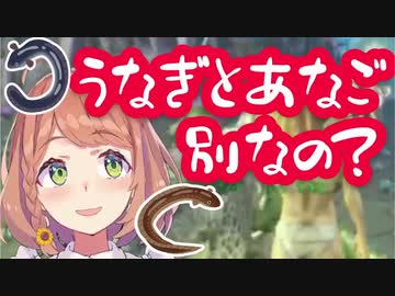 本間ひまわり「うなぎとあなごって別なの？」