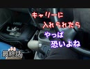相思相愛の野良猫をついに保護【三毛猫が保護されるまで Part６】