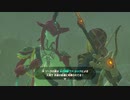 【ゼルダの伝説ブレスオブザワイルド＃30】突撃！隣のゾーラ族 前編【はるの積みゲー崩し】