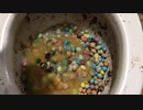 M&M'sと林檎のソースをトイレに流してみた