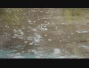 Rain by 伊藤裕哉