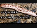【ぴ】毒ナマコを食べてしまった結果がこれ