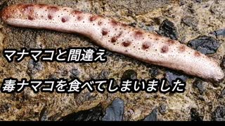 【ぴ】毒ナマコを食べてしまった結果がこれ