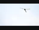 MOVIE_0826