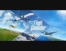 【Microsoft Flight Simulator】台風の中を飛行