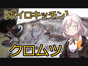 【VOICEROIDキッチン＆フィッシング？】クロムツのタタキ【パート10】